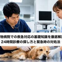 画像4856