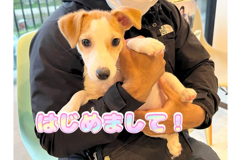 表