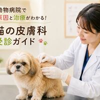 画像5001