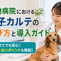 画像5165