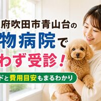 画像5175