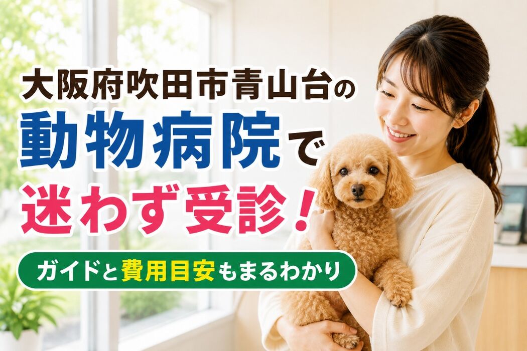 画像5175