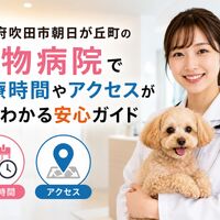 画像5197