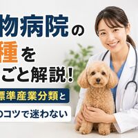 画像5259