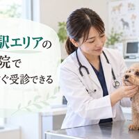 画像5310
