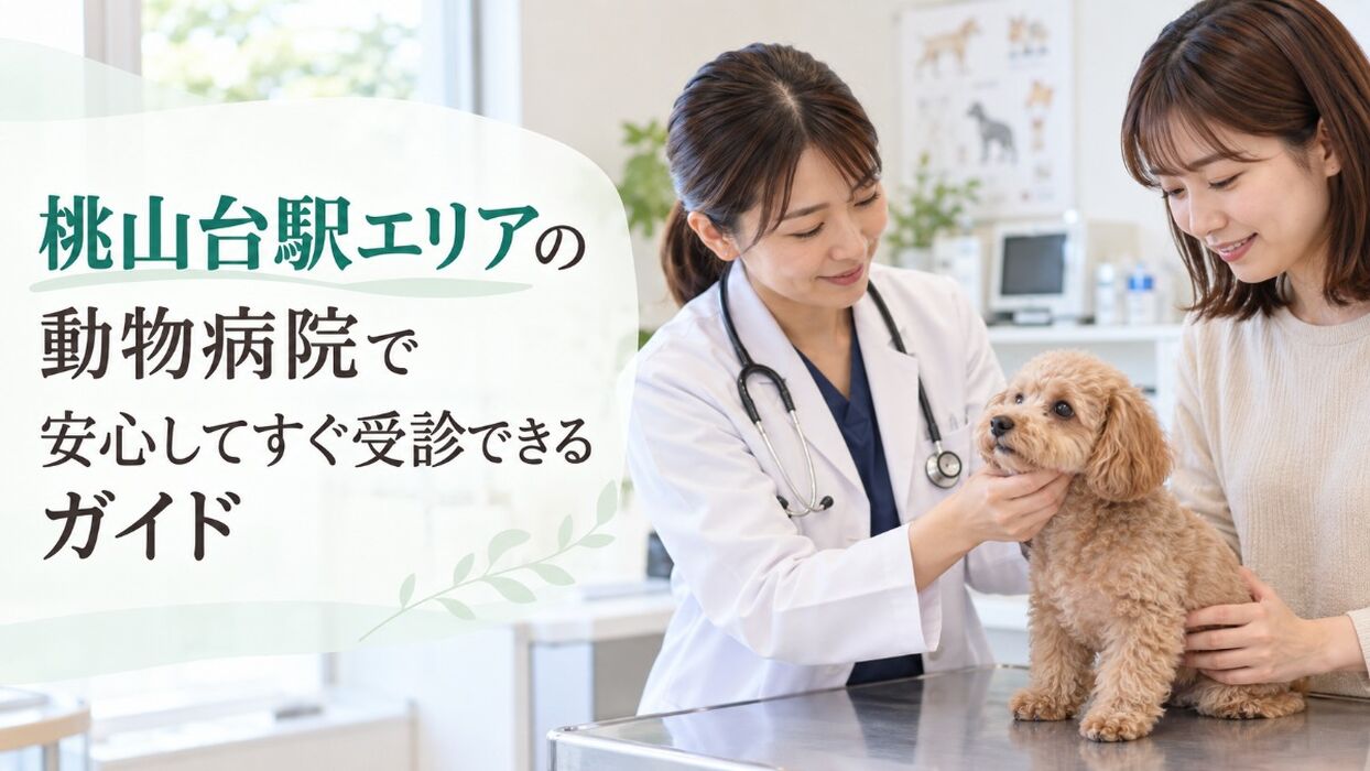 画像5310