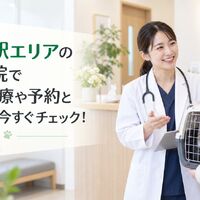 画像5332