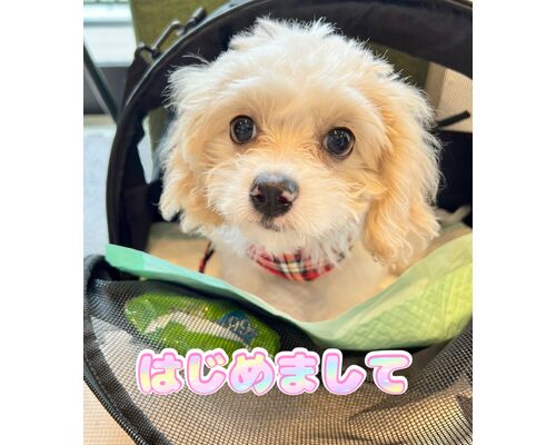 表