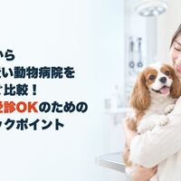 画像5390