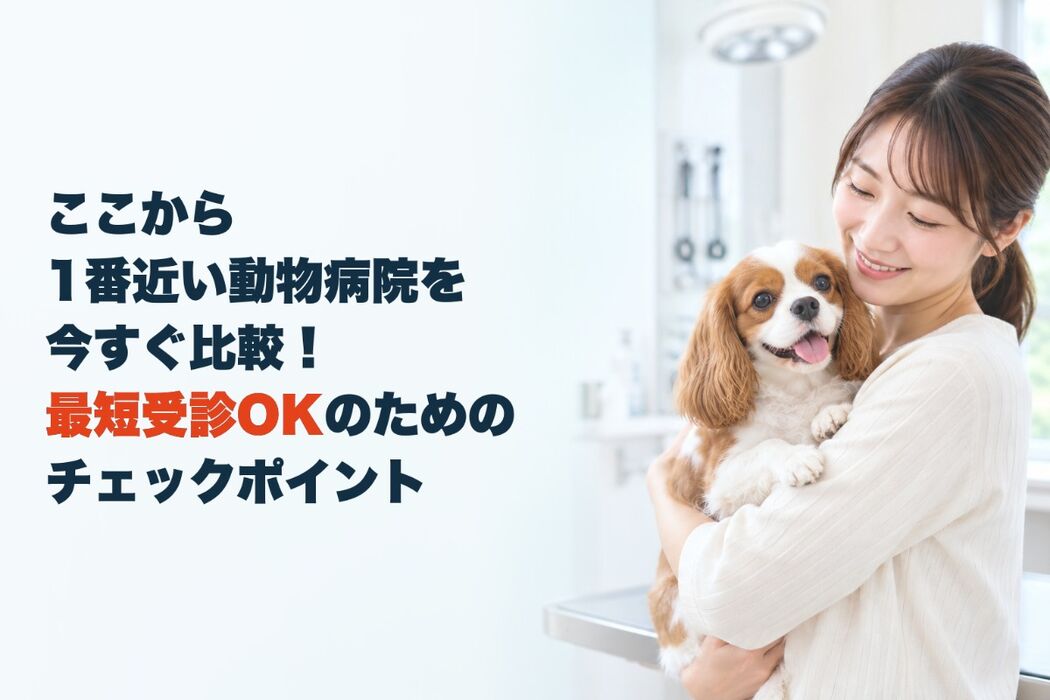 画像5390