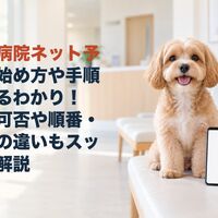 画像5402