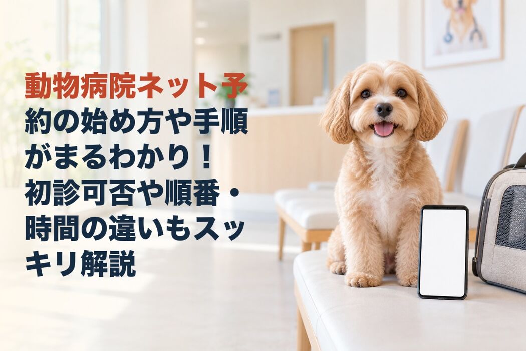画像5402