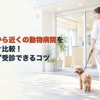 画像5418