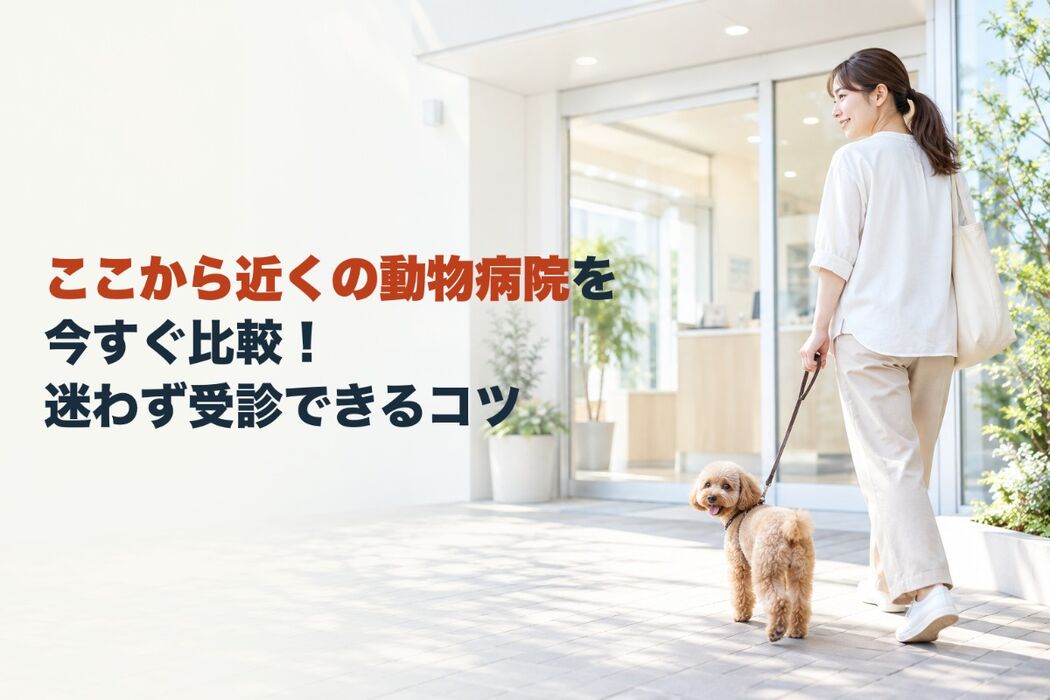 画像5418