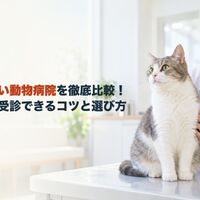 画像5432