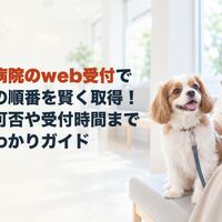 画像5446