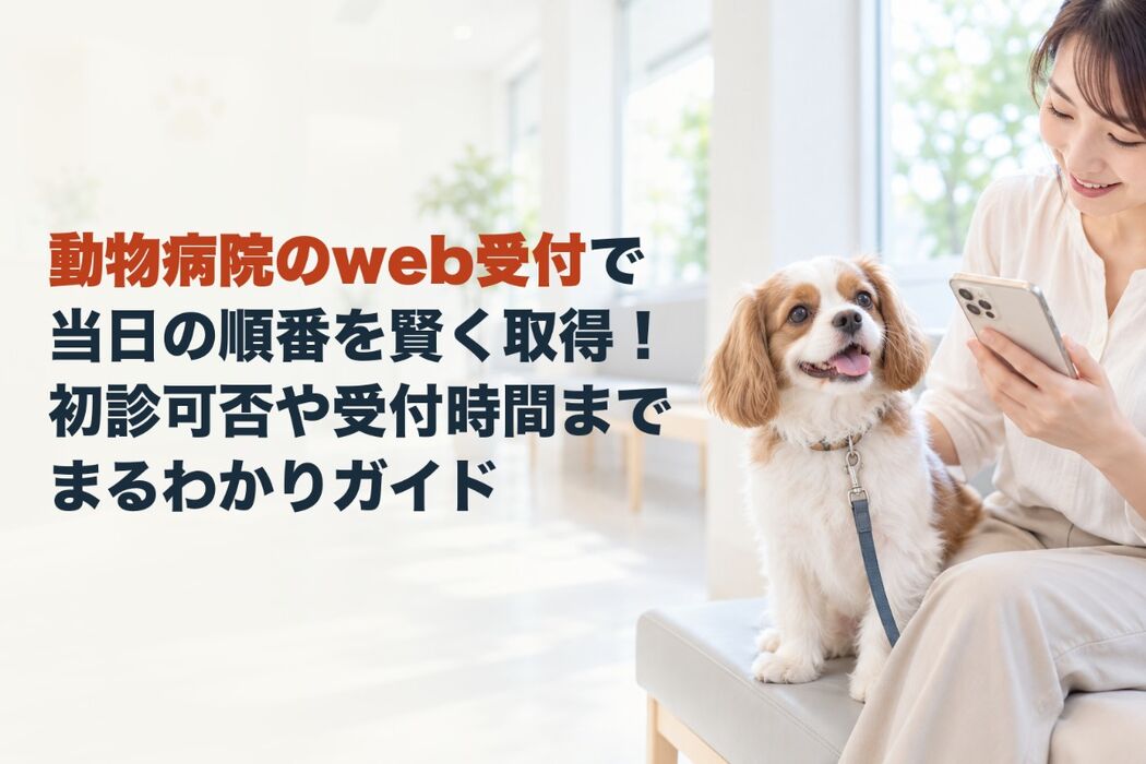 画像5446