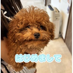はるちゃん１
