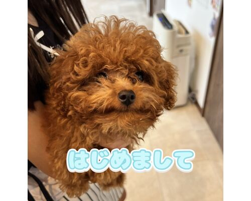 はるちゃん１
