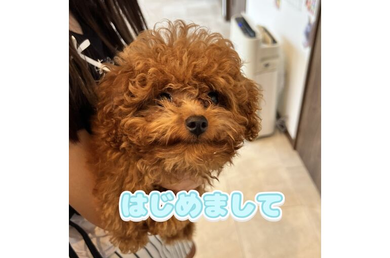 はるちゃん１