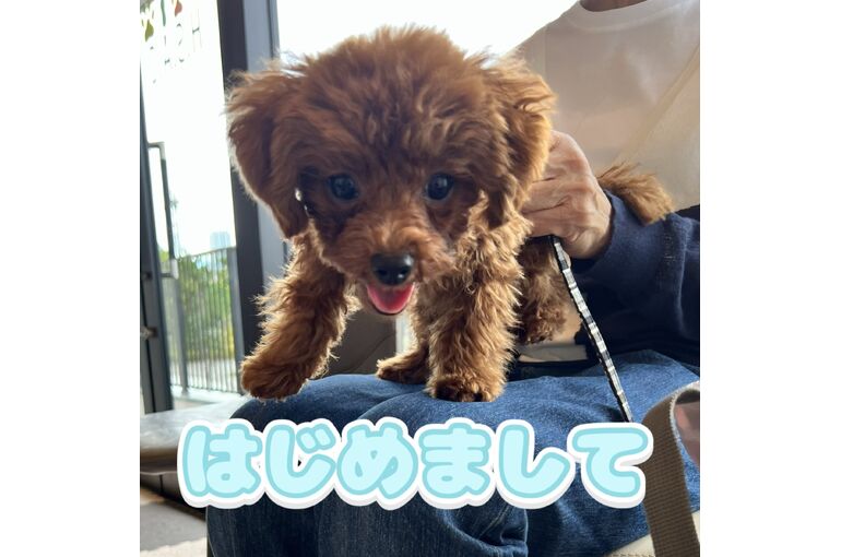 楓太郎ちゃん1